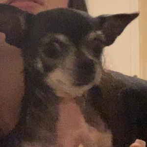 Meet your Posher, Hallie